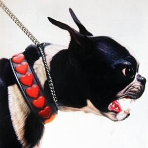 Meet your Posher, Shanda